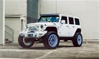 Jeep Wrangler độ bóng bẩy